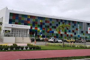 Pan American School of Bahia image