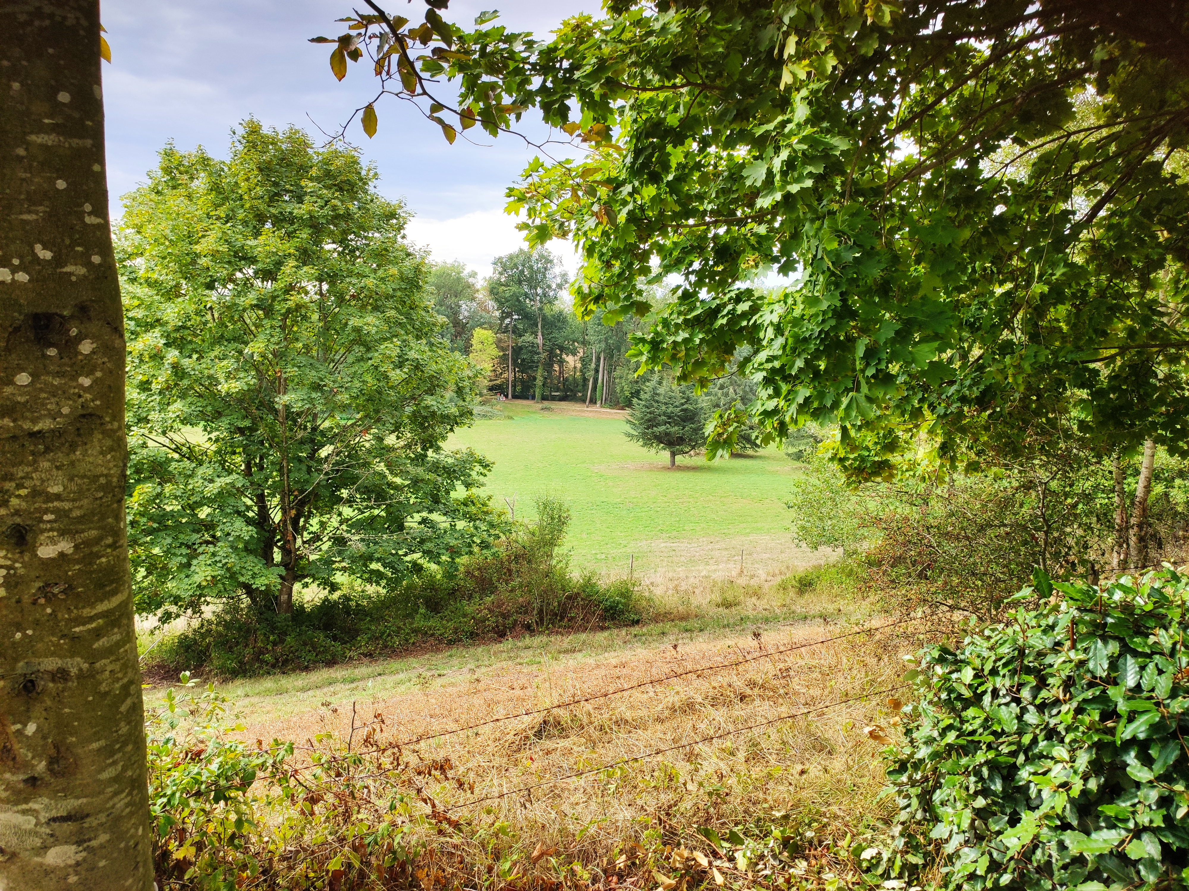 Photo n° 5 de l'avis de Michel.R fait le 16/09/2023 à 15:57