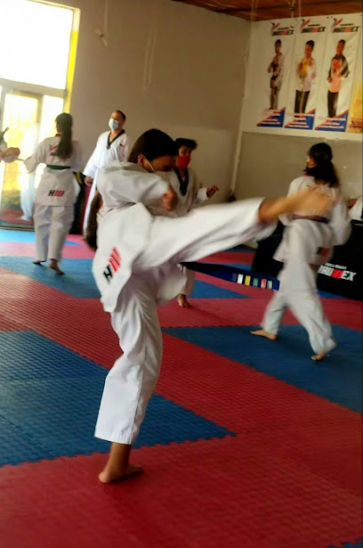 New Evolution Taekwondo Rancho de la Cruz