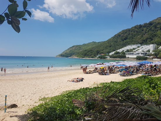 Nai Harn Plajı