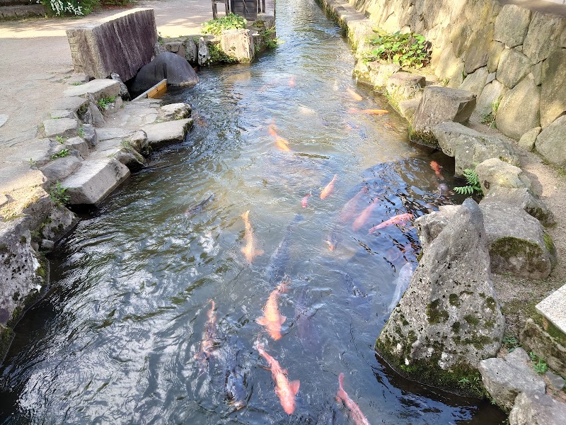 瀬戸川と白壁土蔵街 岐阜県飛騨市古川町殿町 グルコミ