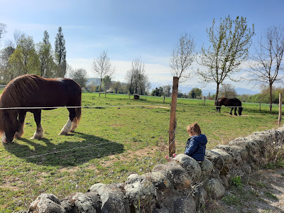 Assistante Maternelle Agréée à Juillan