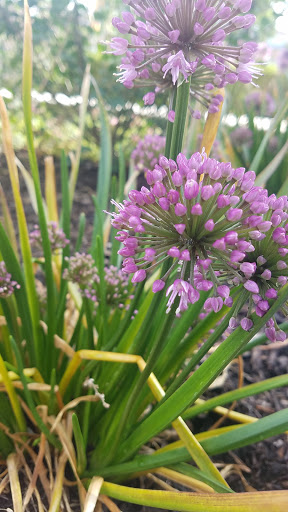 Tourist Attraction «Leaning Tower of Niles», reviews and photos, 6300 Touhy Ave, Niles, IL 60714, USA