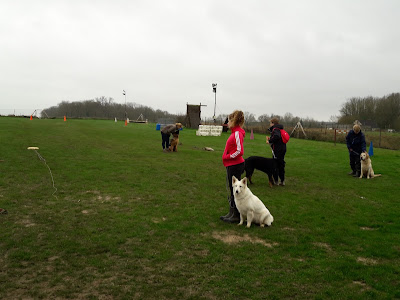 Amillis Sport Canin à Amillis