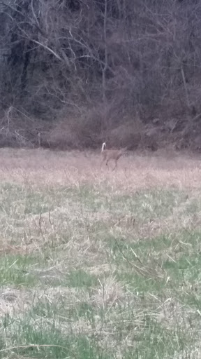 State Park «Alapocas Run State Park», reviews and photos, 1914 W Park Dr, Wilmington, DE 19803, USA