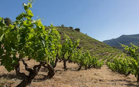 Vinícola del Priorat image