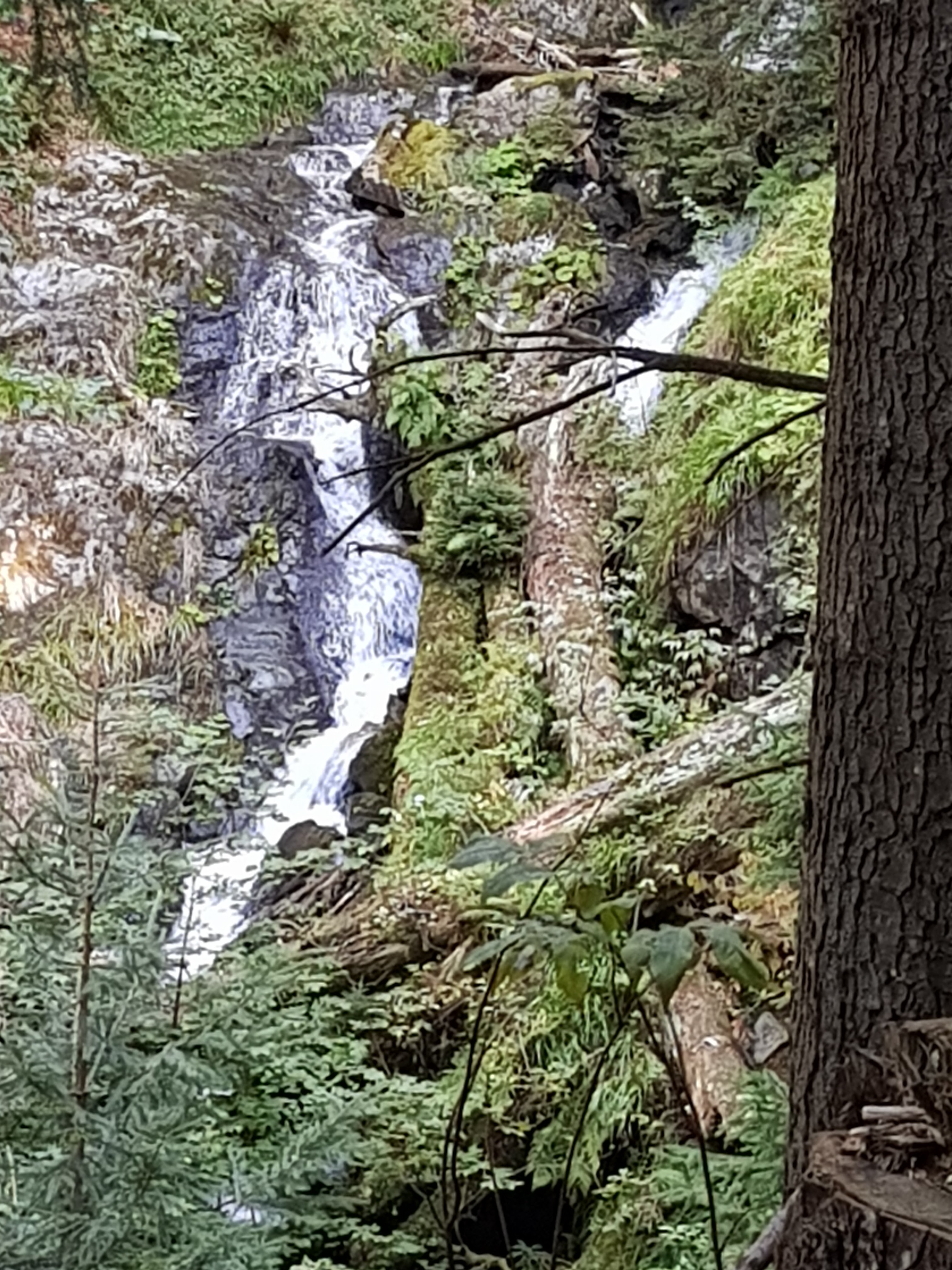 Photo n° 5 de l'avis de Sophie.c fait le 12/09/2019 à 15:42