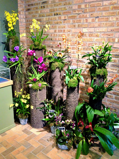 Florist «Victor Hlavacek Florist», reviews and photos, 746 Green Bay Rd, Winnetka, IL 60093, USA