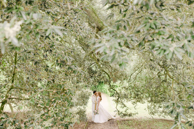 Simple Tapestry Wedding Photography Open Times