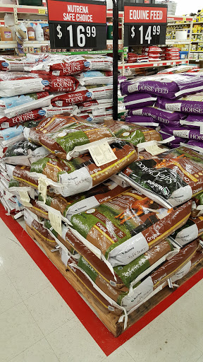 Home Improvement Store «Tractor Supply Co.», reviews and photos, 1390 E Main St, Woodland, CA 95776, USA