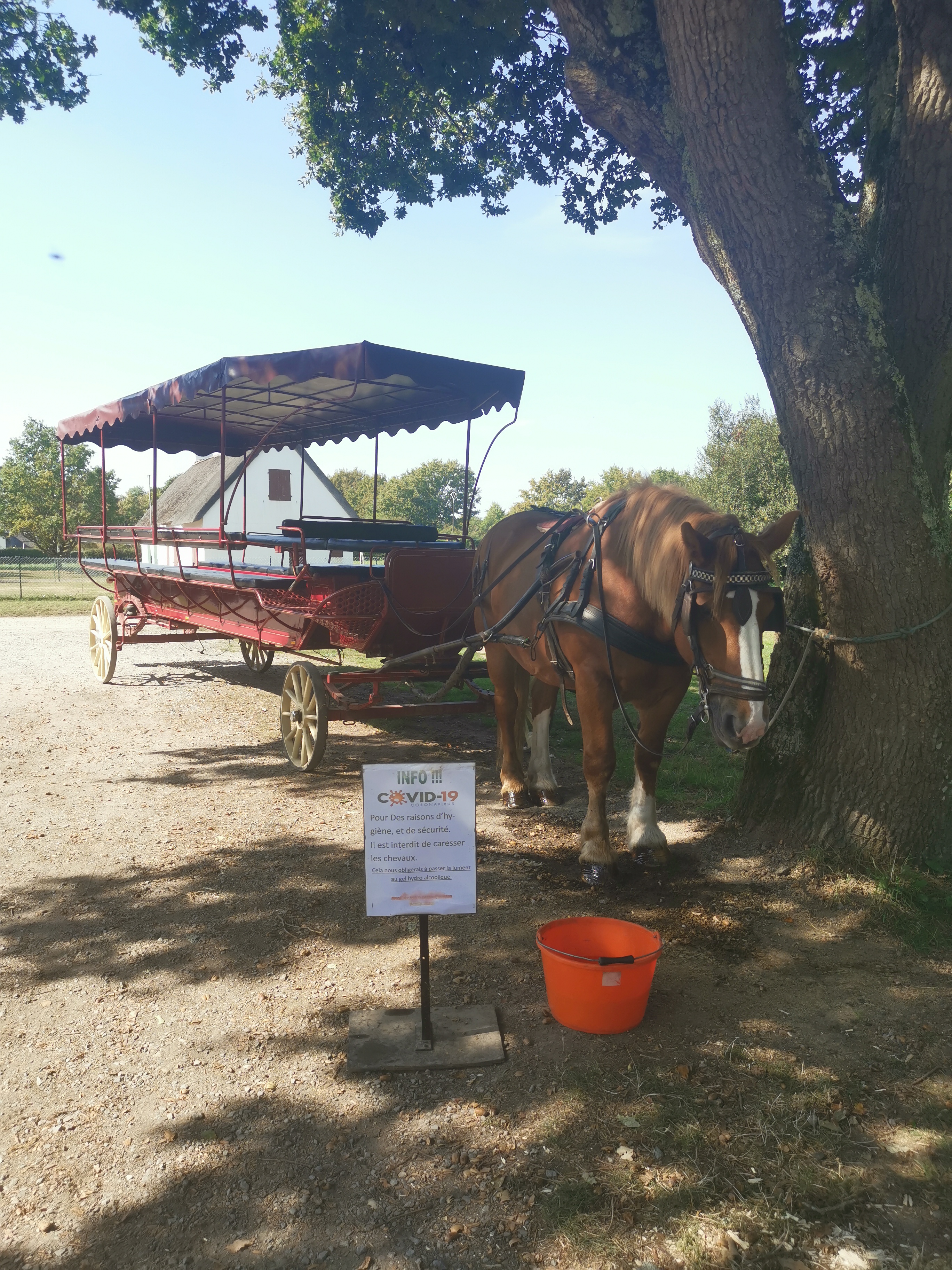 Photo n° 2 de l'avis de Claire.a fait le 17/09/2020 à 10:02