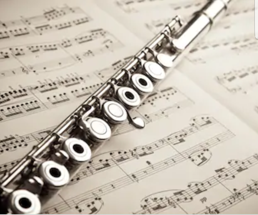 Flute and Piano Lessons by Debbie Sheers