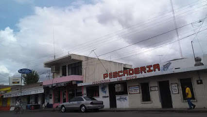 Pescaderia Pilos