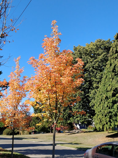 Park «Salmon Bay Park», reviews and photos, 2001 NW Canoe Pl, Seattle, WA 98117, USA