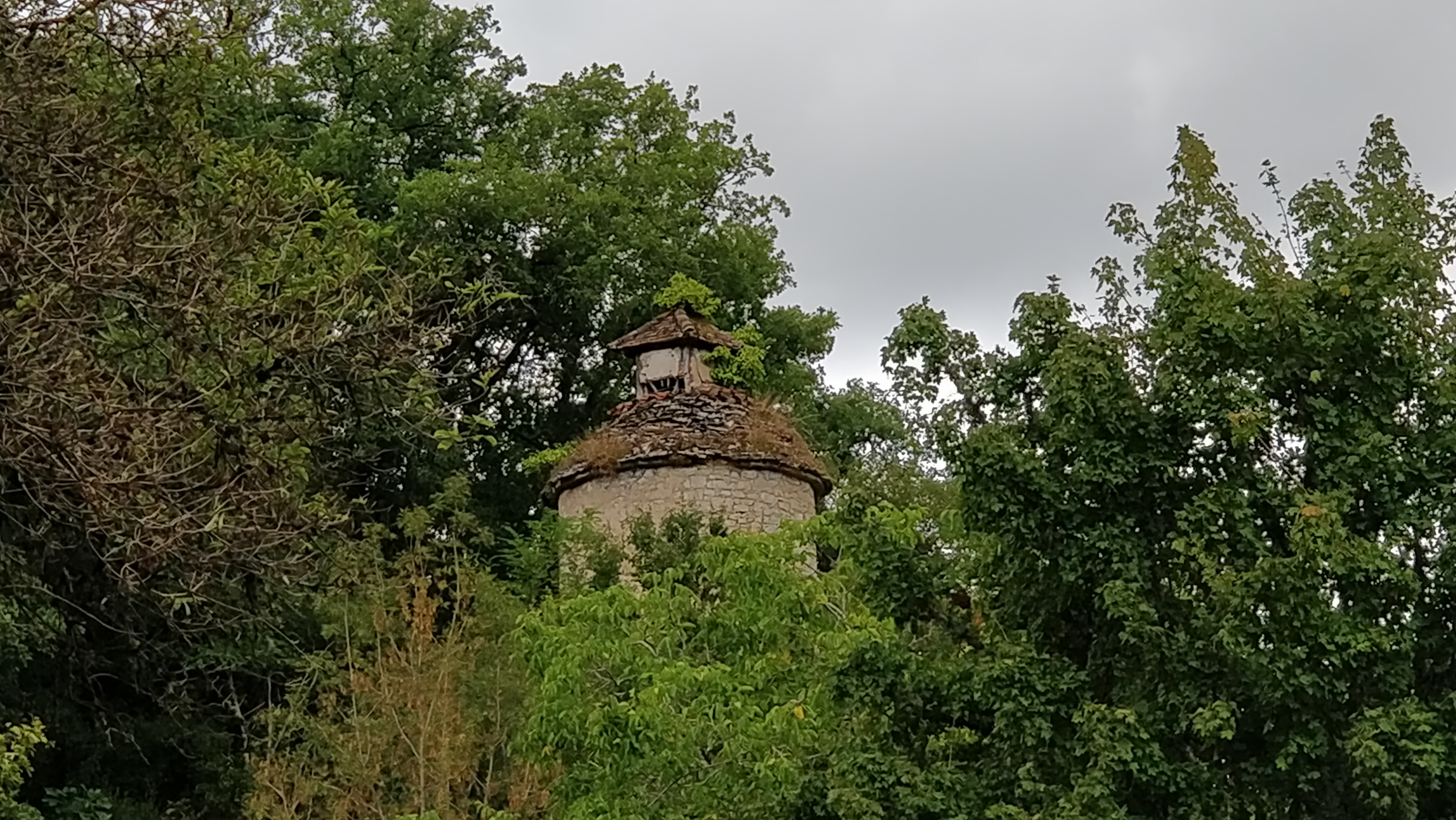 Photo n° 2 de l'avis de Catherine.e fait le 24/08/2018 à 15:31