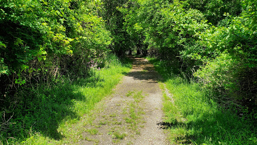 Park «Lake Erie Metropark», reviews and photos, 32481 W Jefferson Ave, Brownstown Charter Twp, MI 48173, USA