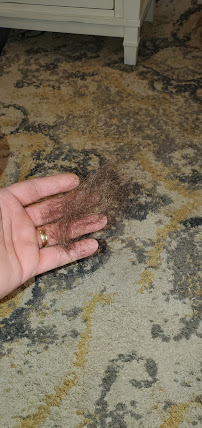 SandFree - Photo 7 - Car repair in , New Bedford