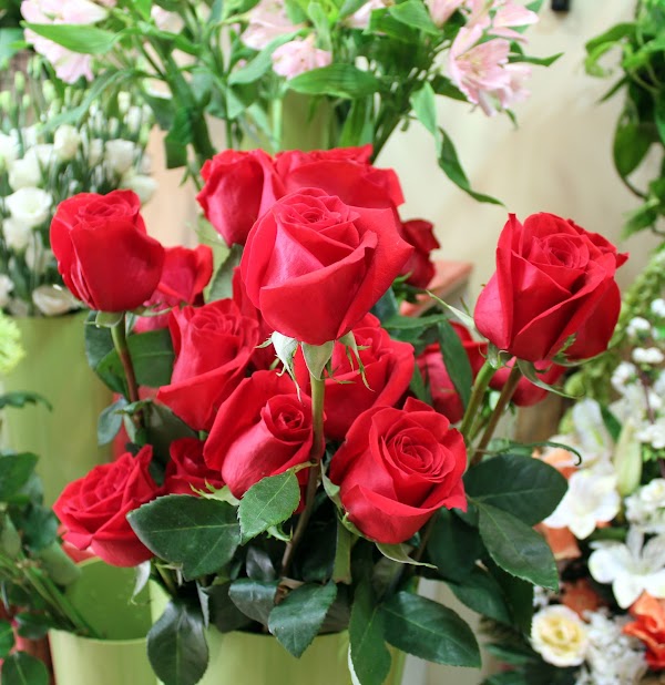 Imagen de Floristas Joycar (4 de 9)