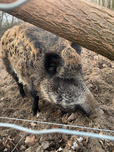 Mórahalom, Bercsényi u. 3, 6782