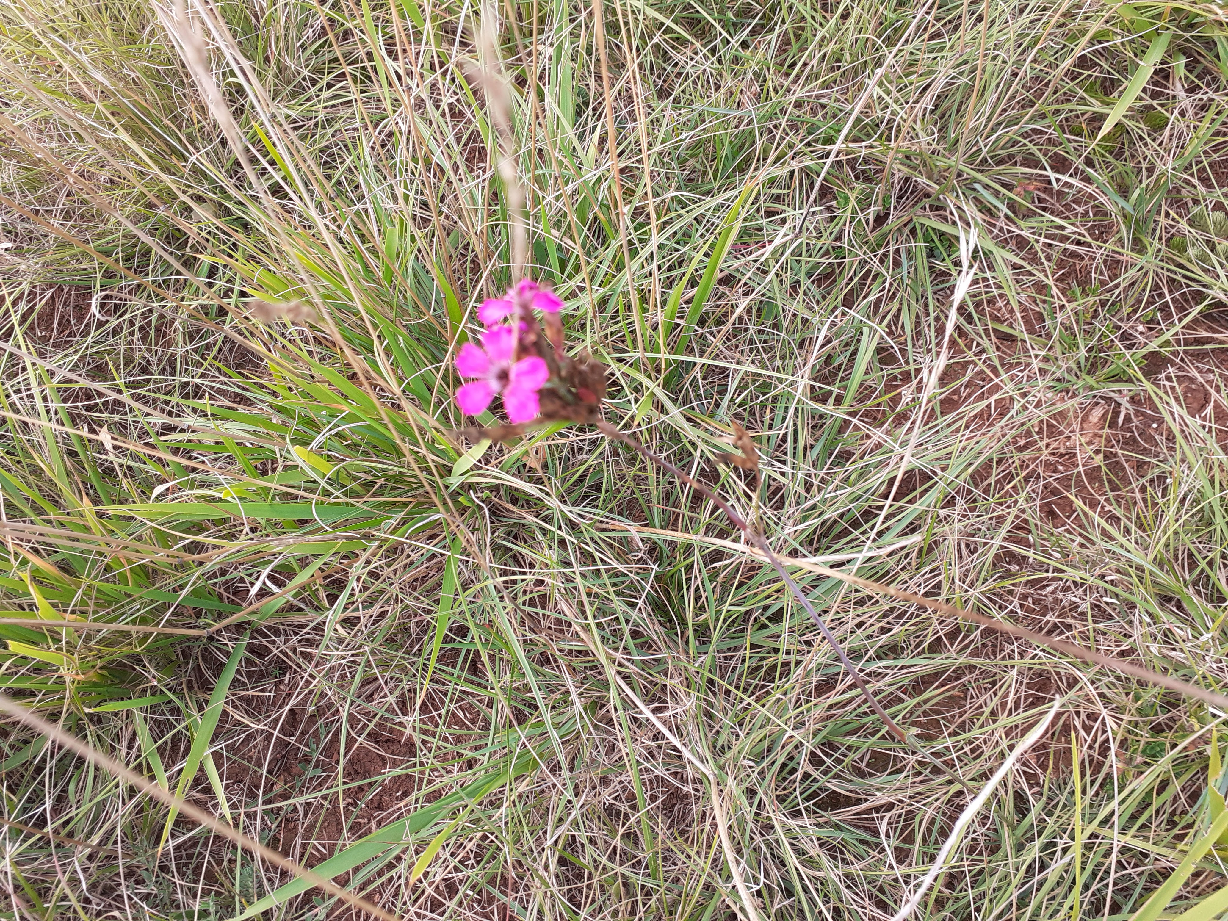 Photo n° 1 de l'avis de Thierry-Armand.i fait le 21/09/2021 à 10:47