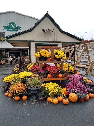 Florist «Nunan Florist & Greenhouses», reviews and photos, 269 Central St, Georgetown, MA 01833, USA