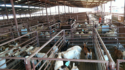 Escalon Livestock Market Inc