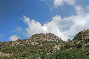 Sureshwar Mahadev Temple image