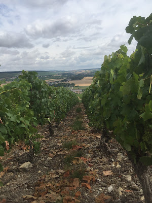 Champagne Brateau-Moreaux à Leuvrigny