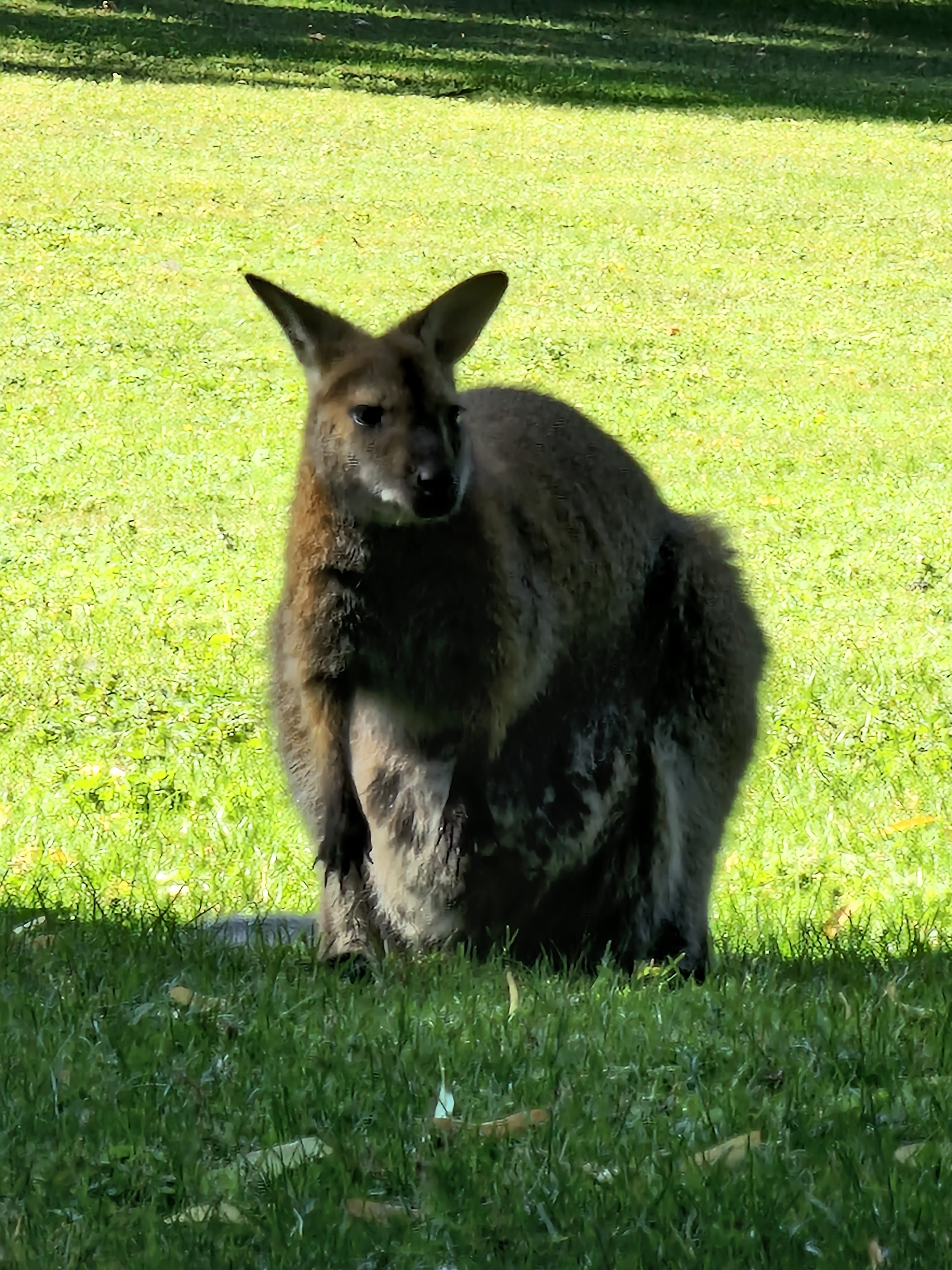 Photo n° 2 de l'avis de Arnaud.o fait le 16/07/2022 à 10:32