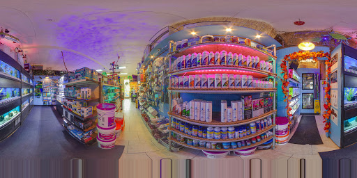 Pet Store «Discount Pets & Supplies», reviews and photos, 211 Hancock Bridge Pkwy, Cape Coral, FL 33990, USA