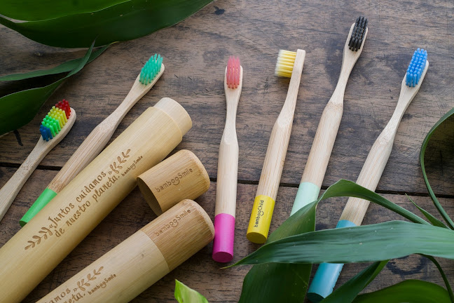 bambooSmile, Cepillos de dientes de bambú, productos biodegradables, naturales, eco-amigables