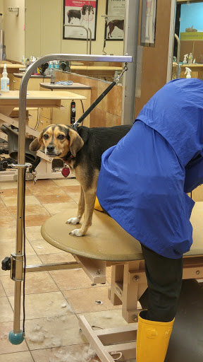 Pet Supply Store «PetSmart», reviews and photos, 11132 Abercorn St, Savannah, GA 31419, USA