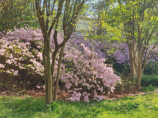 Park «The Crape Myrtle Trails of McKinney», reviews and photos, 6452 Collin McKinney Pkwy, McKinney, TX 75070, USA