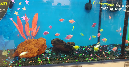 Pet Supply Store «Petco Animal Supplies», reviews and photos, 1049 S Willow St, Manchester, NH 03103, USA