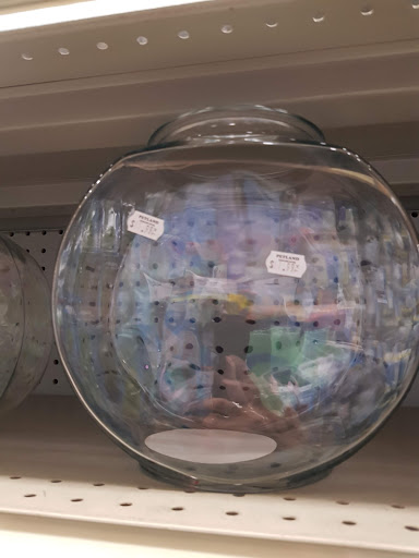 Tropical Fish Store «Petland Discounts - Ridgewood», reviews and photos, 55-52 Myrtle Ave, Queens, NY 11385, USA