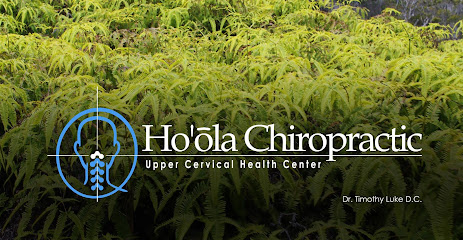 Hoola Chiropractic - Chiropractor in Honolulu Hawaii