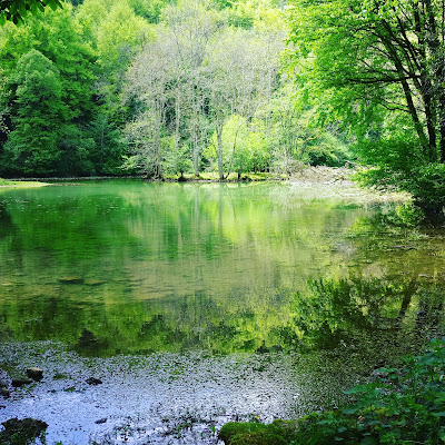 Office National des Forêts (O.N.F) à Touillon
