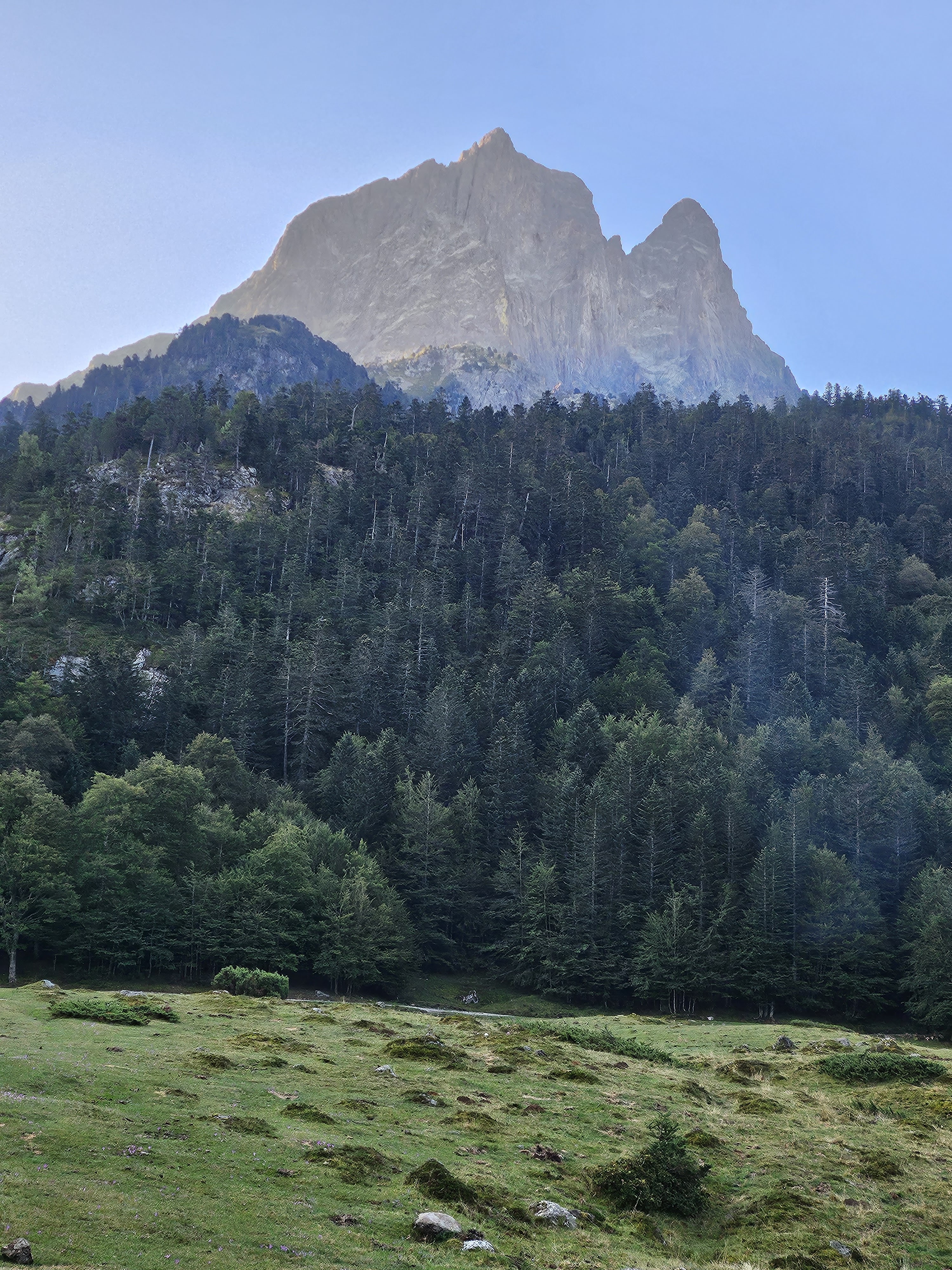 Photo n° 14 de l'avis de Laurent.r fait le 10/09/2023 à 14:14