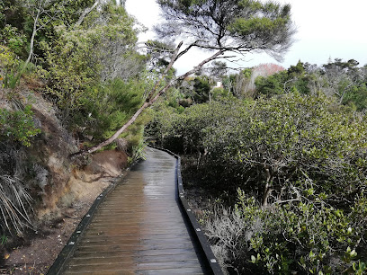 Te Atatu Walkway