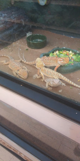 Pet Supply Store «Petco Animal Supplies», reviews and photos, 760 Queen St, Southington, CT 06489, USA