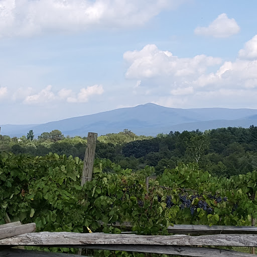 Tourist Attraction «Luray Valley Museum», reviews and photos, 100 Cave Hill Rd, Luray, VA 22835, USA