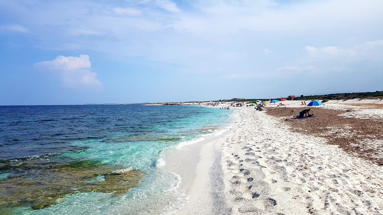 Fotografija Spiaggia S'Archeddu z turkizna čista voda površino