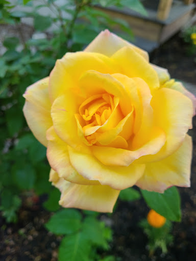 Campground «Holly Shores Camping Resort», reviews and photos, 491 U.S. 9, Cape May, NJ 08204, USA