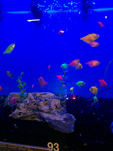 Pet Supply Store «PetSmart», reviews and photos, 2028 Miamisburg Centerville Rd, Dayton, OH 45459, USA