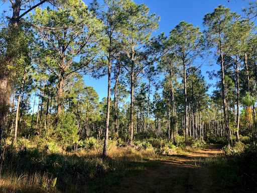 Nature Preserve «Triple Creek Nature Preserve», reviews and photos, 13112 Balm Boyette Rd, Riverview, FL 33579, USA