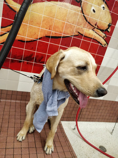 Pet Supply Store «Pet Food Express», reviews and photos, 261 Park Rd, Burlingame, CA 94010, USA