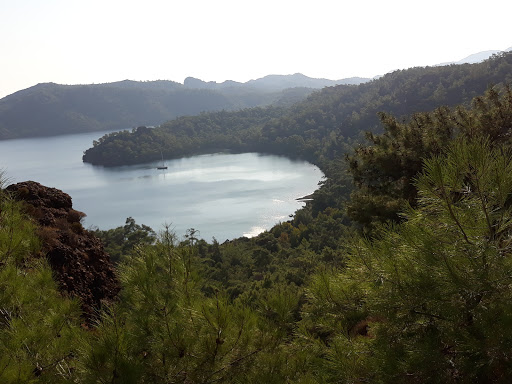 Karnaval Kreş - Gündüz Bakımevi Ve Çocuk Kulübü
