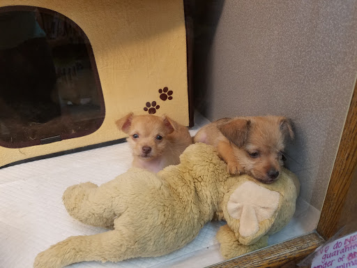 Pet Store «Animal Ark Pet Stores», reviews and photos, 33 Center St, Orem, UT 84057, USA