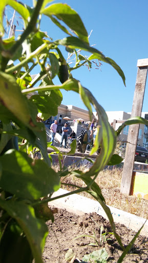 Community Center «Ivywild School», reviews and photos, 1604 S Cascade Ave, Colorado Springs, CO 80905, USA