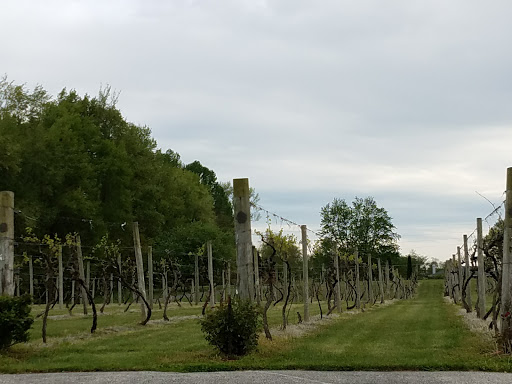 Winery «Madison Vineyards Estate Winery and Bed & Breakfast», reviews and photos, 1456 E 400 N, Madison, IN 47250, USA